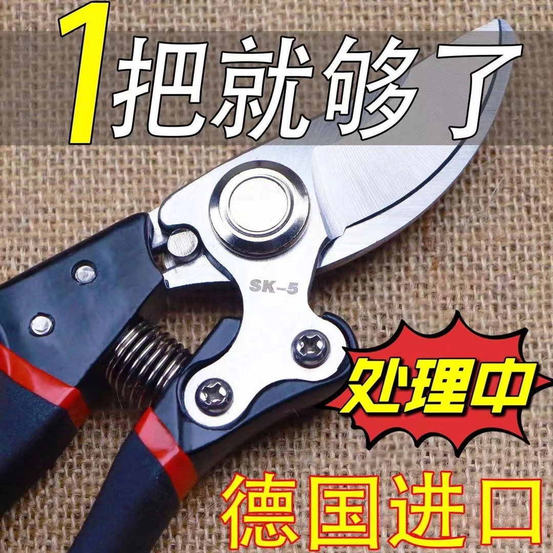 强力SK5钢省力修枝剪果树园林家用粗枝剪多功能修花剪枝花艺剪子