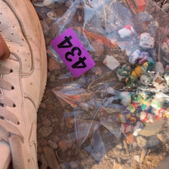 净***根杂色豆（科檀/科特迪瓦檀木）