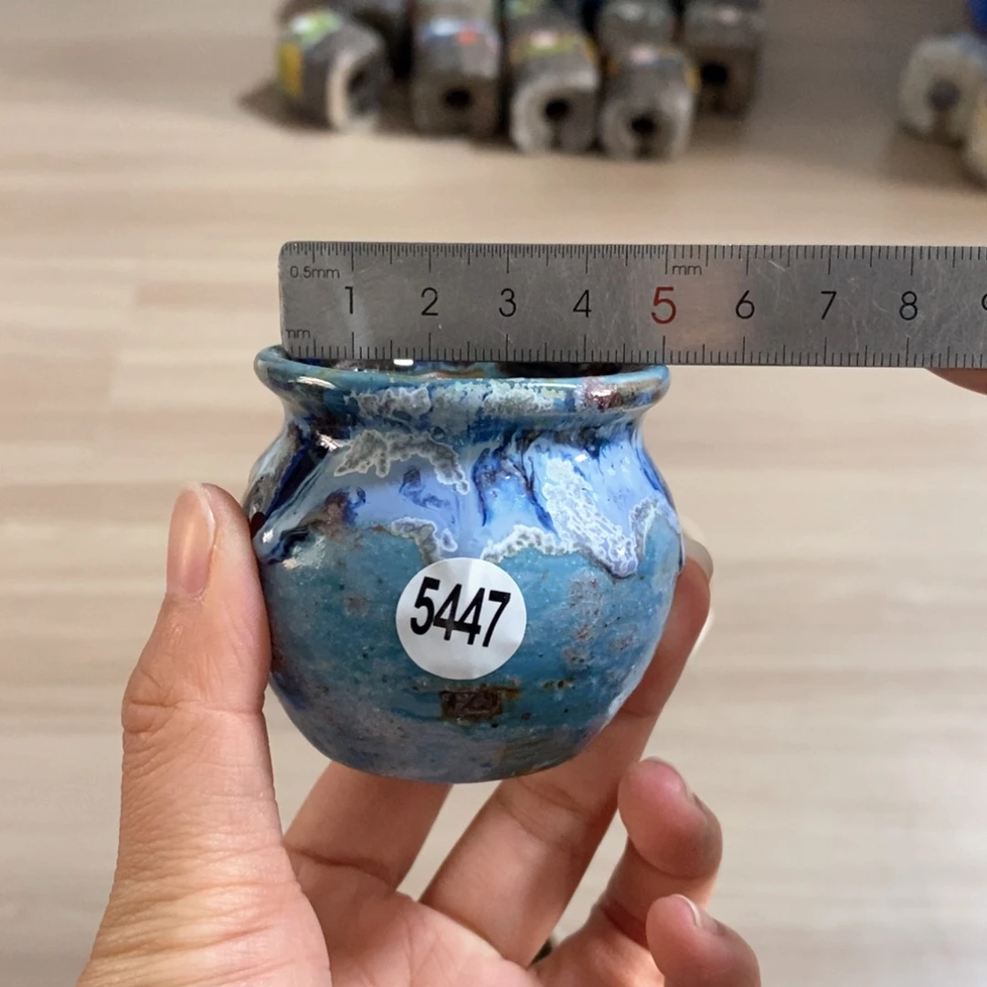 拍5送一个小礼物