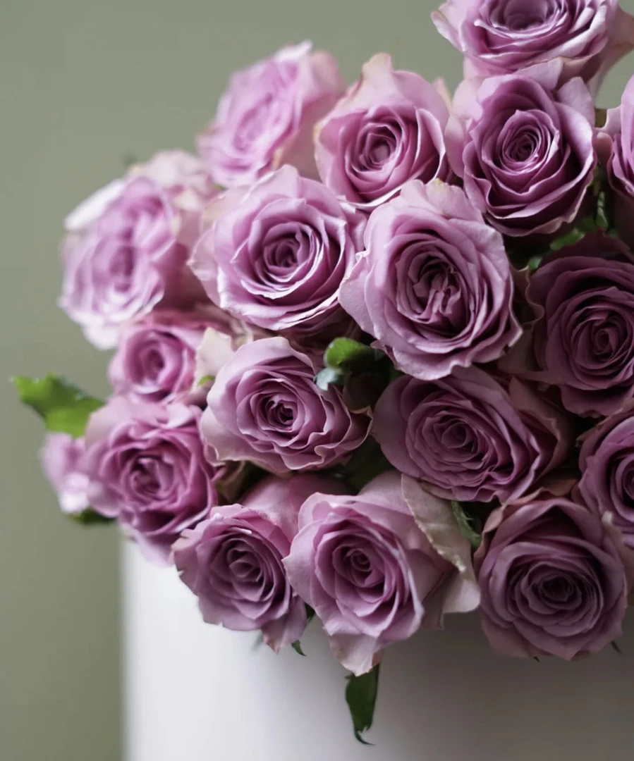 【AB级-紫霞仙子20支】鲜花任意满2单发顺丰冷链或德邦空运云南鲜花