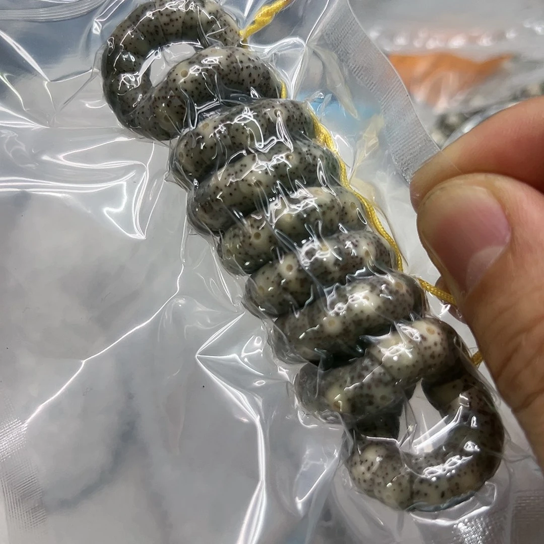 星月菩提手串100糯冰石玉星月菩提猪大肠108-9