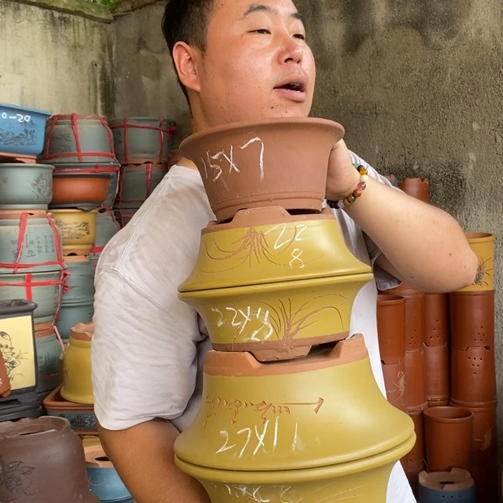 紫砂花盆盆栽花卉苗木种植