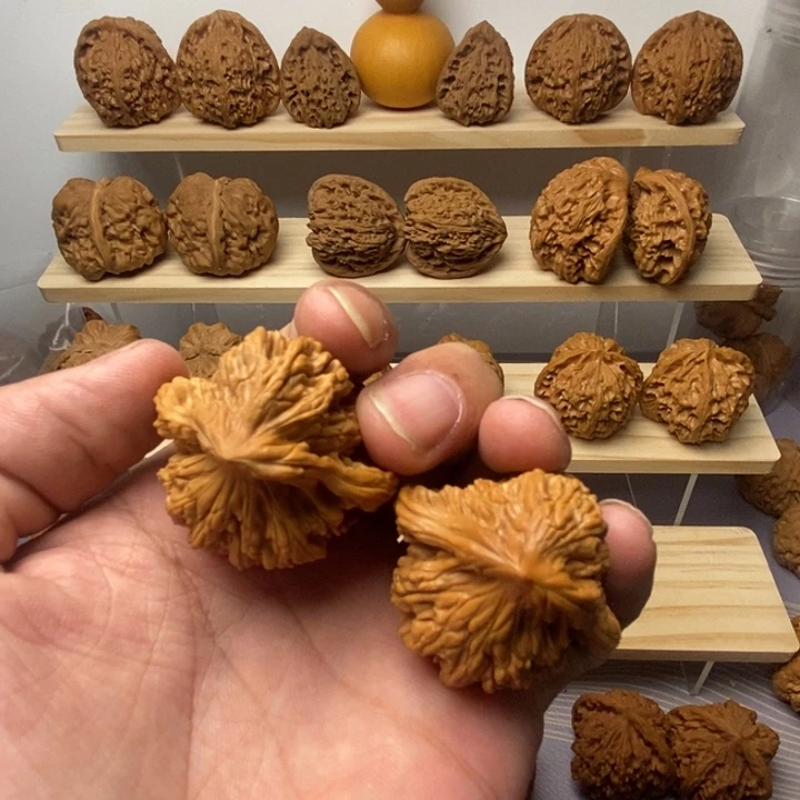 把件核桃小鸟异形一物一图