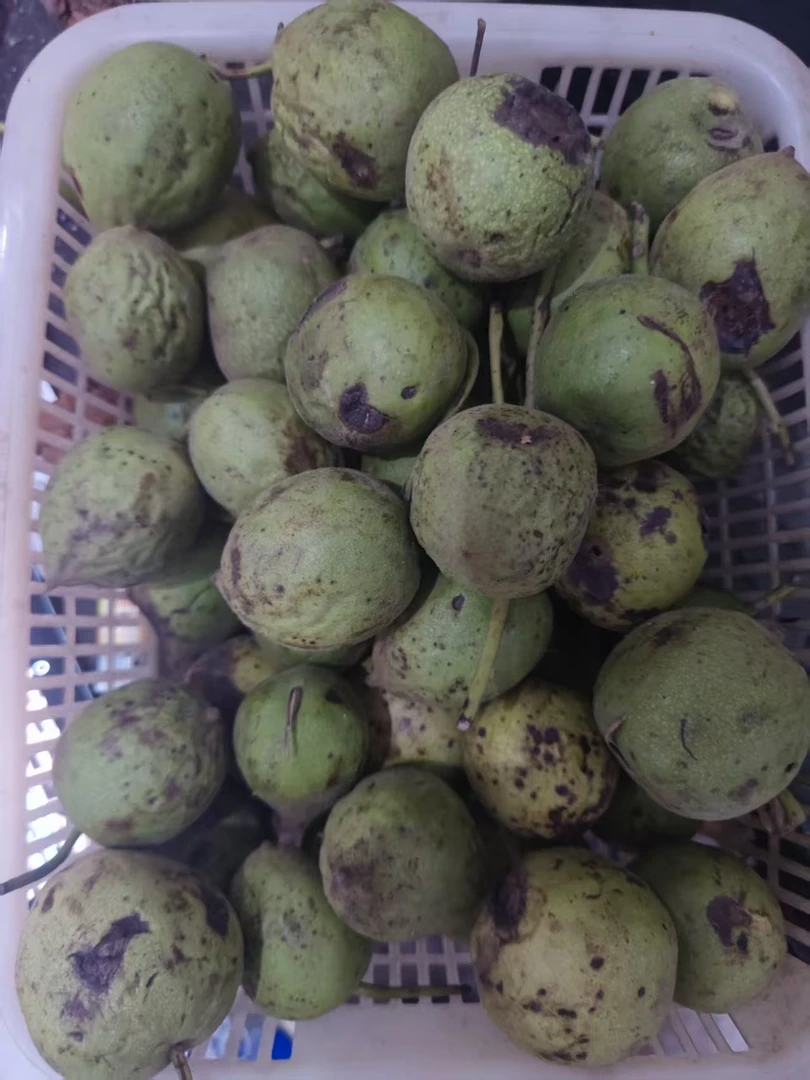 麒麟纹文玩核桃..