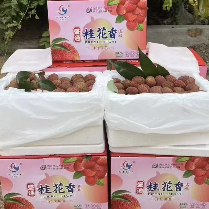 盛通 海南桂花香荔枝 礼盒装 净重2.5斤左右