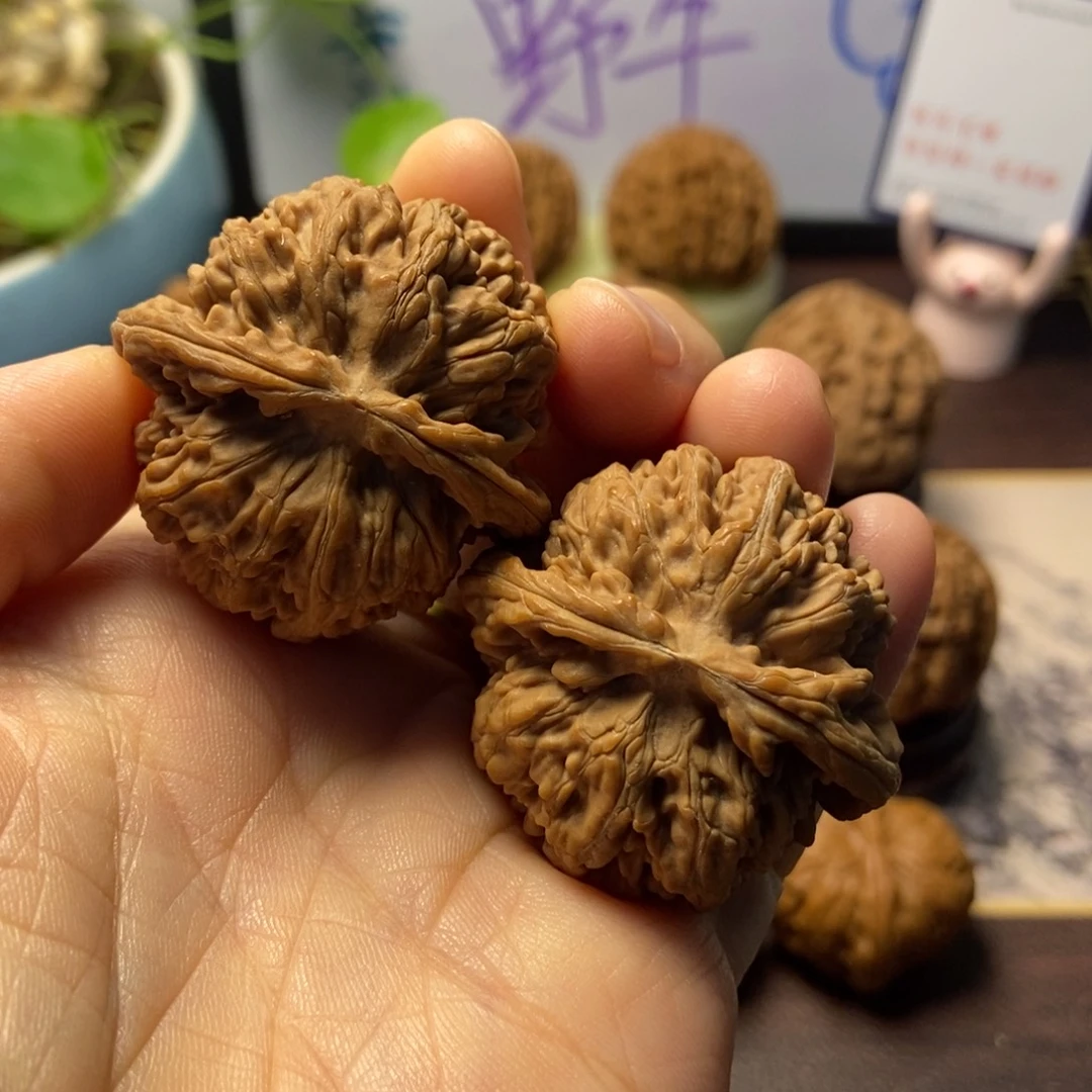 文玩核桃把件全品第一矮尺寸39