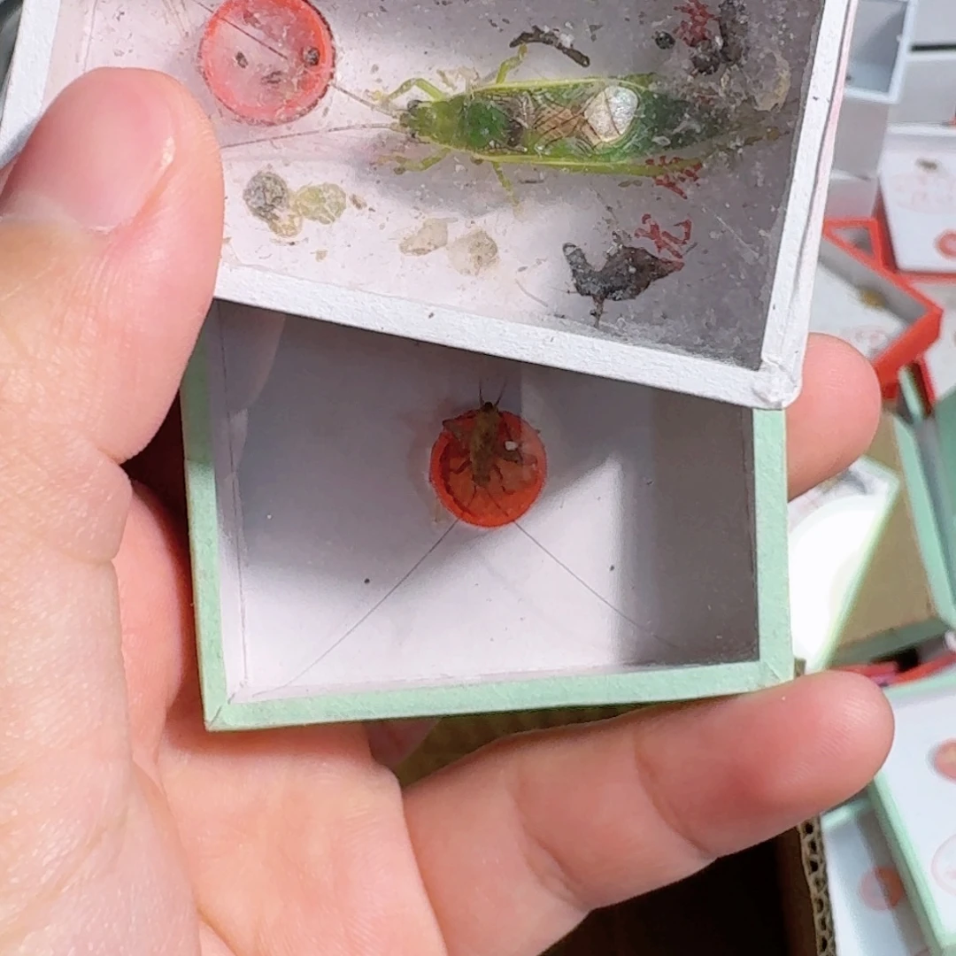 孤***岛蟋蟀你不知道自己为什么不开心呢