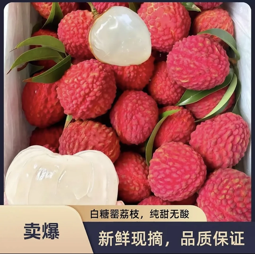 【京东/顺丰冷链随机发】正宗茂名高州白糖罂荔枝鲜甜可口现摘先发W