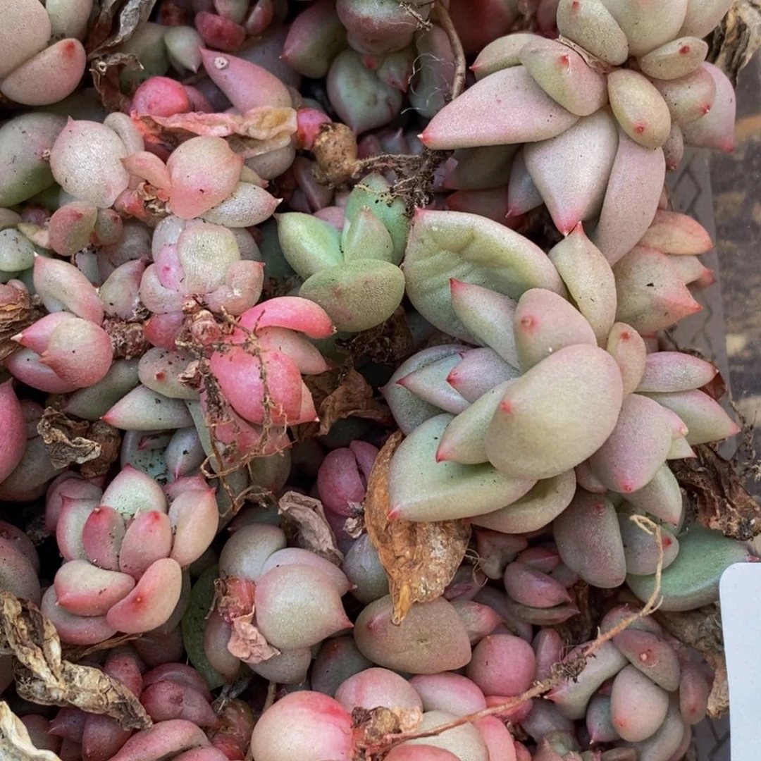 609的我是一个人的时候我就