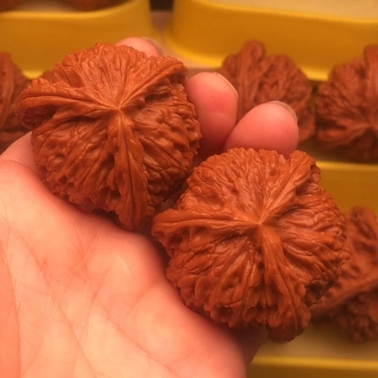 用***9核桃核桃4核桃核桃
