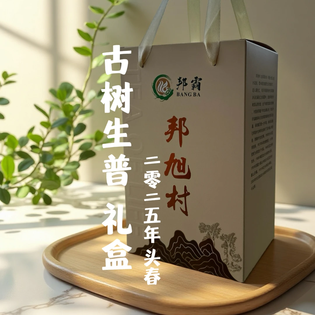 【支书严选】2025年 邦旭 头春古树普洱茶生茶散茶礼盒装