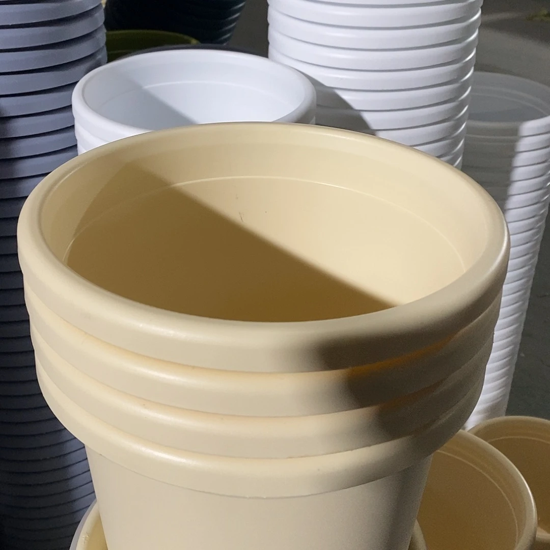 树脂四季4#无拖米黄10个