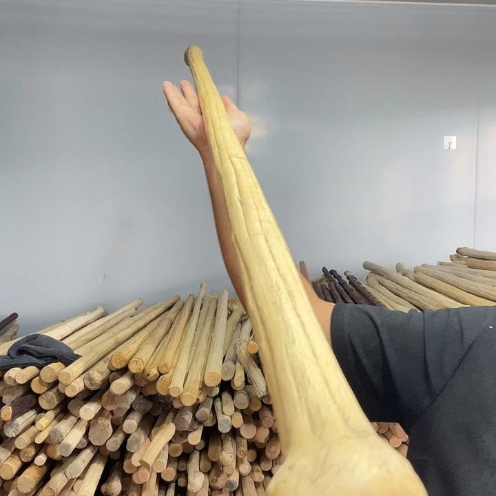 五台山六道木双锁头