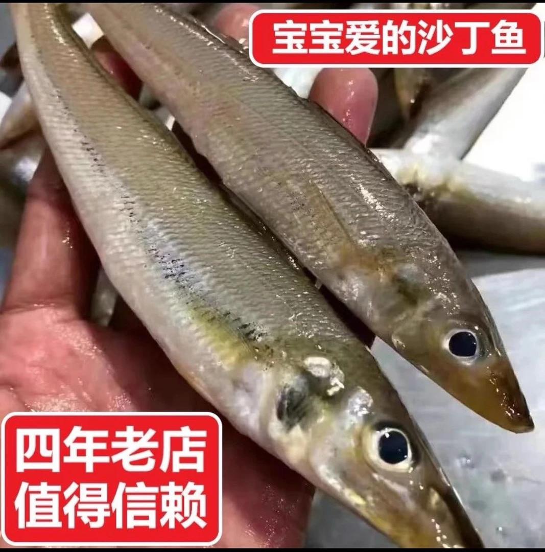 惠来神泉本港浅海沙尖5斤广东省包邮