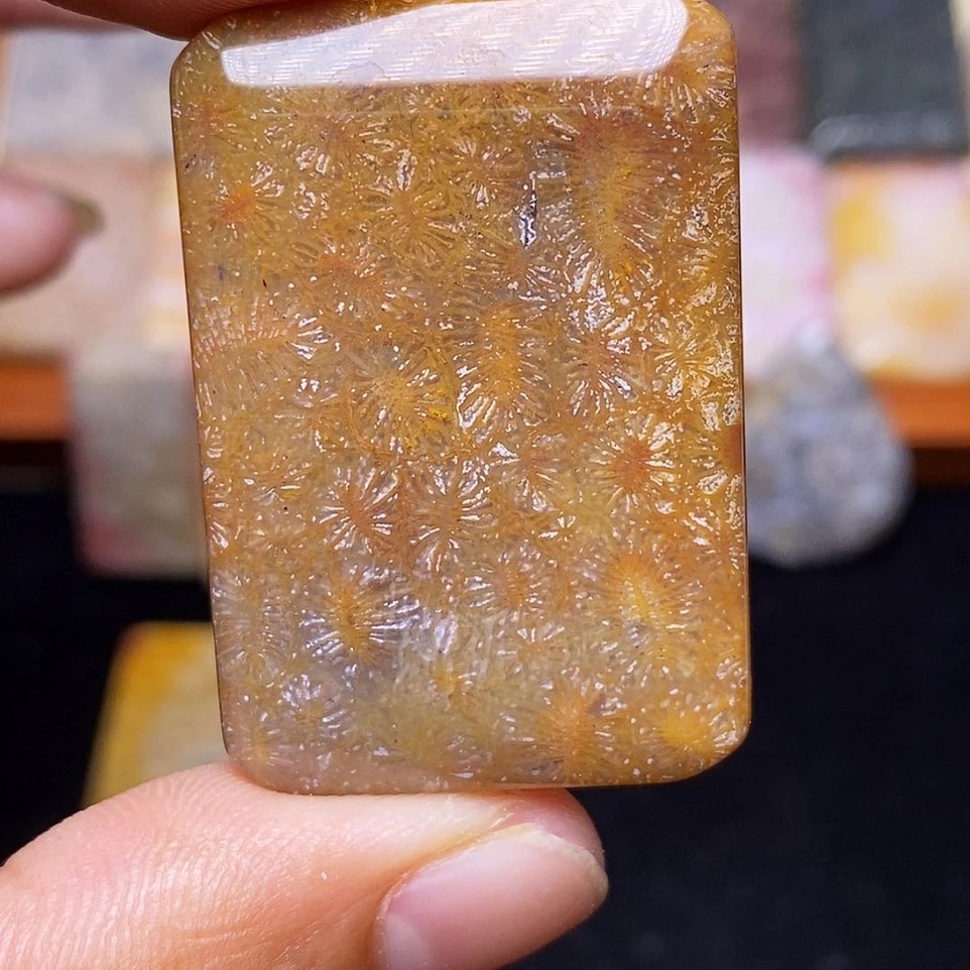 平***福合金珊瑚玉硅化玉