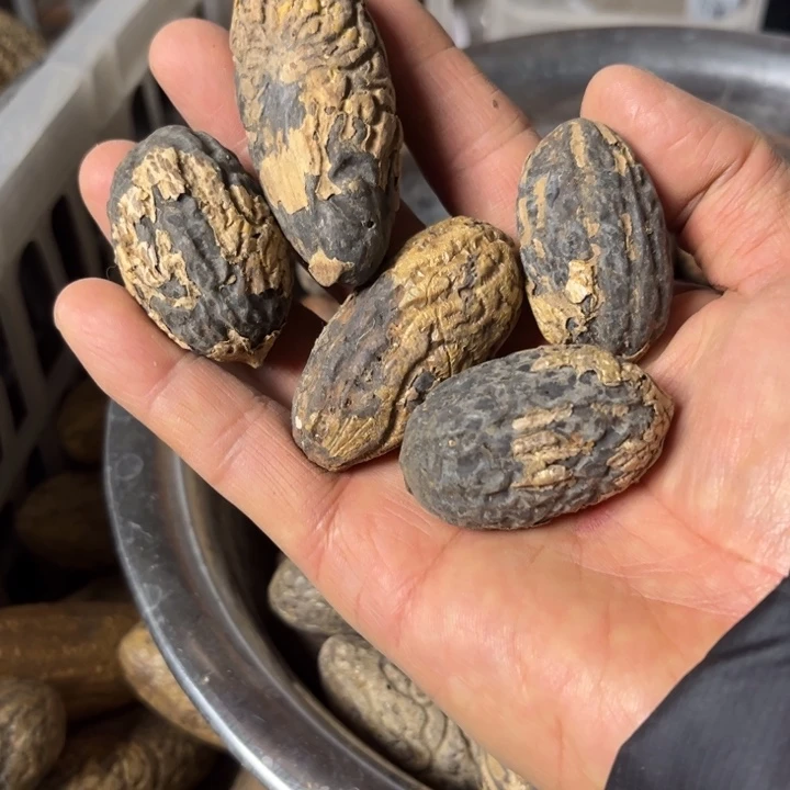 吊坠千眼菩提千眼菩提第68