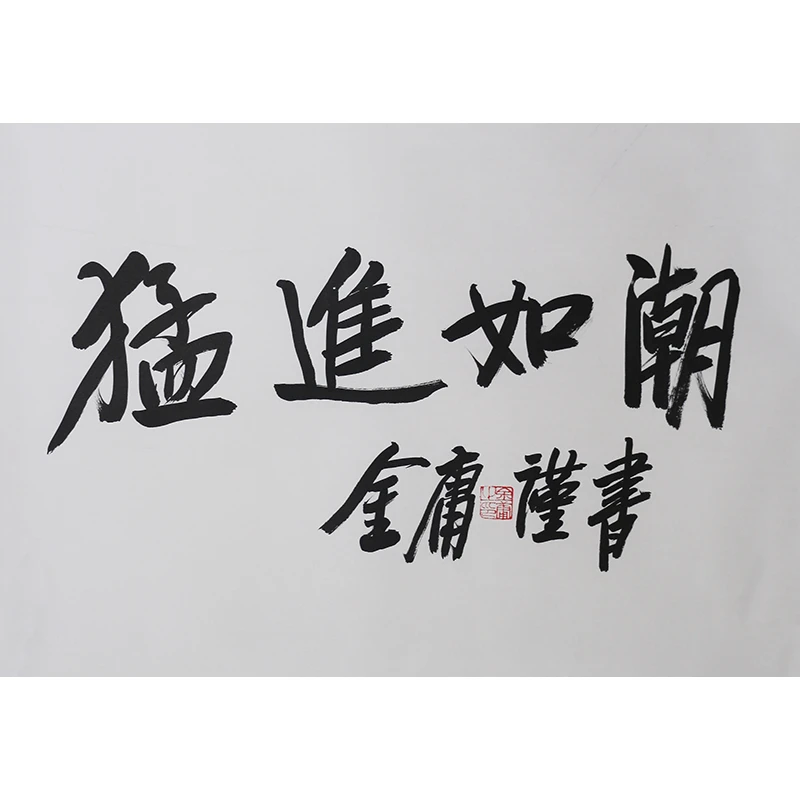  C456 金庸书法软片 46cm×70cm