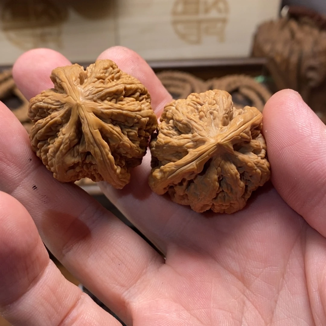 手串金刚菩提粗筋40左右
