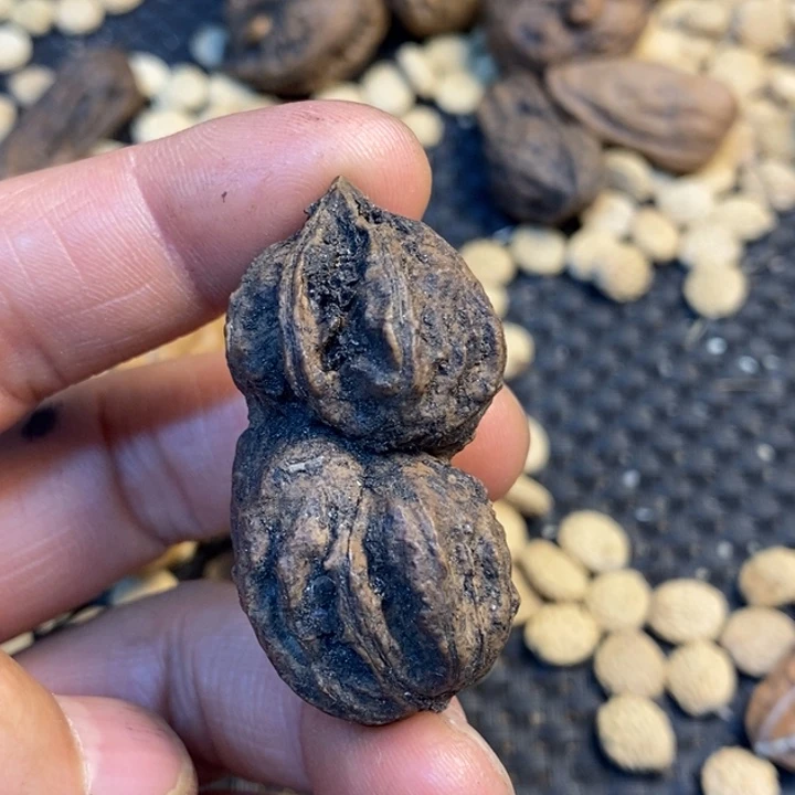 文玩核桃吊坠娜姐84