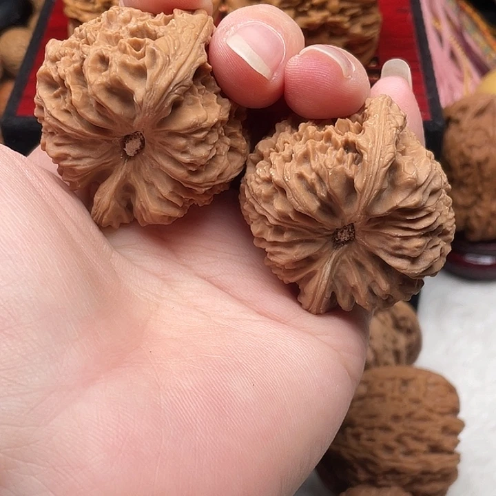 高桩三角 凹底 有黄41-40