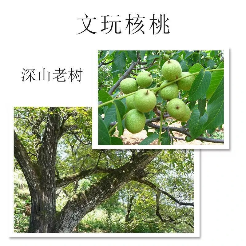 文玩核桃一对麒麟纹官帽天然桃核手把件核桃手串