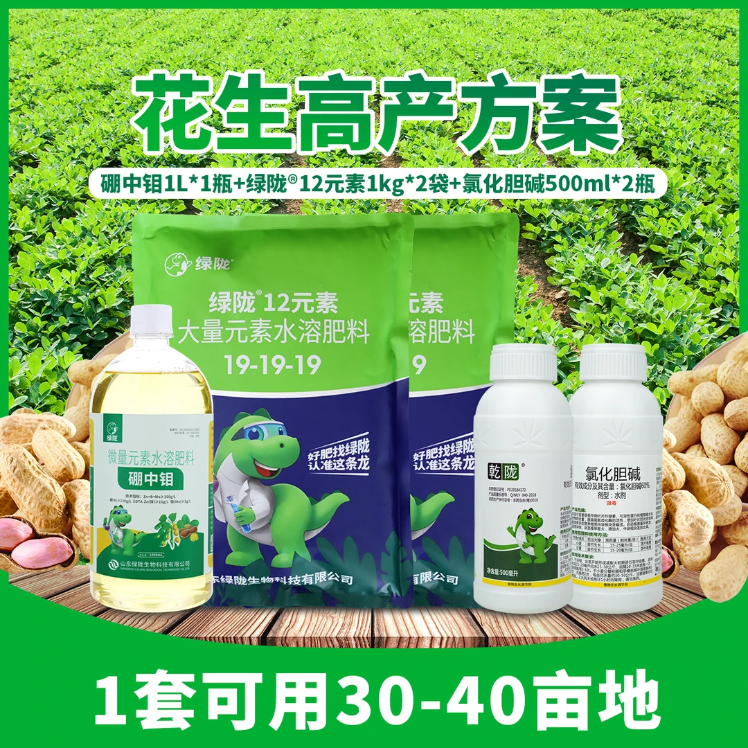 【花生增产方案】绿陇花生三遍药肥膨大营养下针多籽粒饱满