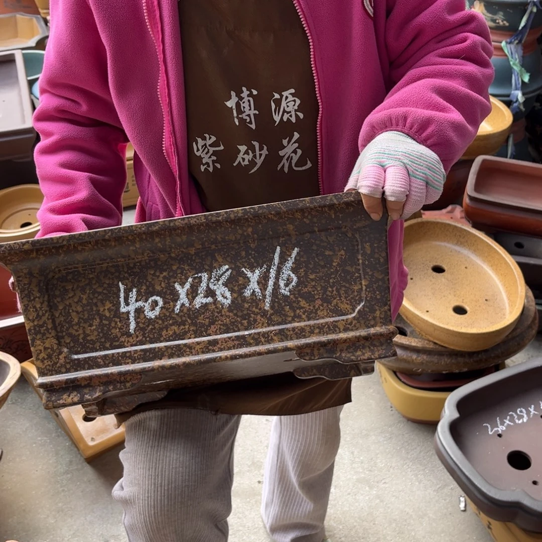 花盆紫砂盆景艺术