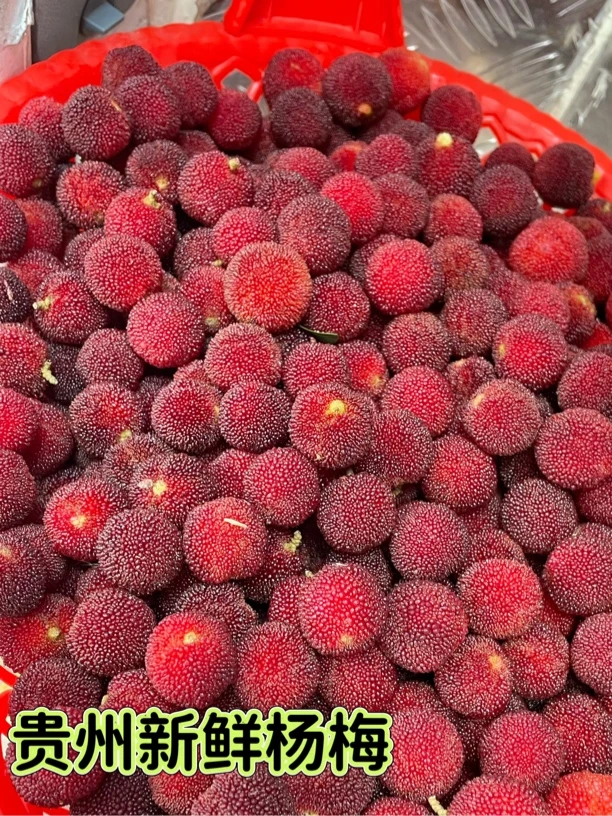 主播专属贵州野生杨梅高山现摘新鲜泡酒鲜水果酸甜孕妇专用