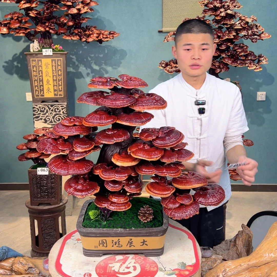 无花朵88888888888