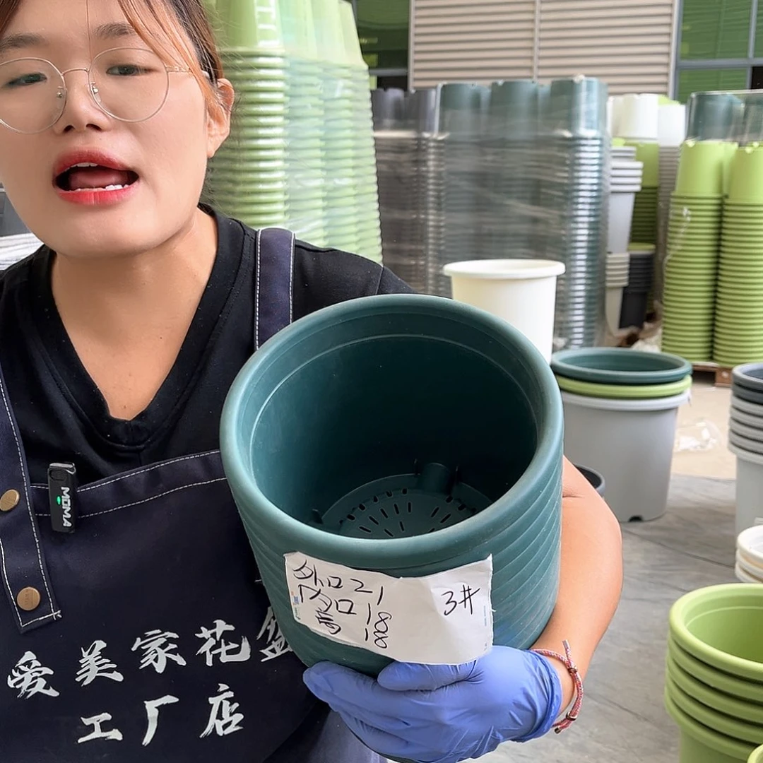 四季盆3#墨绿色10个无托