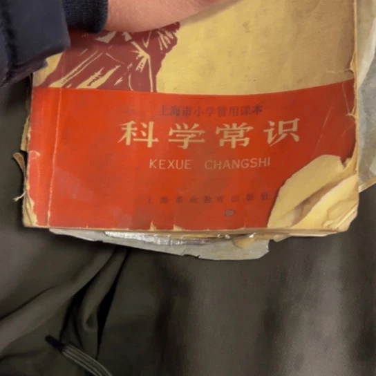 辽***河核桃木/黑胡桃（胡桃木）