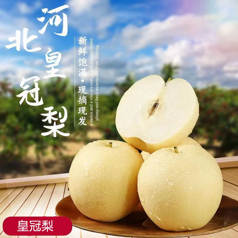 河北皇冠梨赵县水晶梨5/9斤新鲜水果应季水果多汁食用细腻成熟