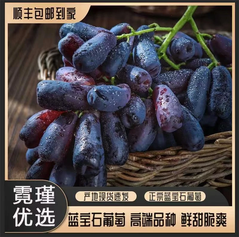 【蓝宝石葡萄】现摘现发金手指汁水饱满清脆无籽黑提花青素