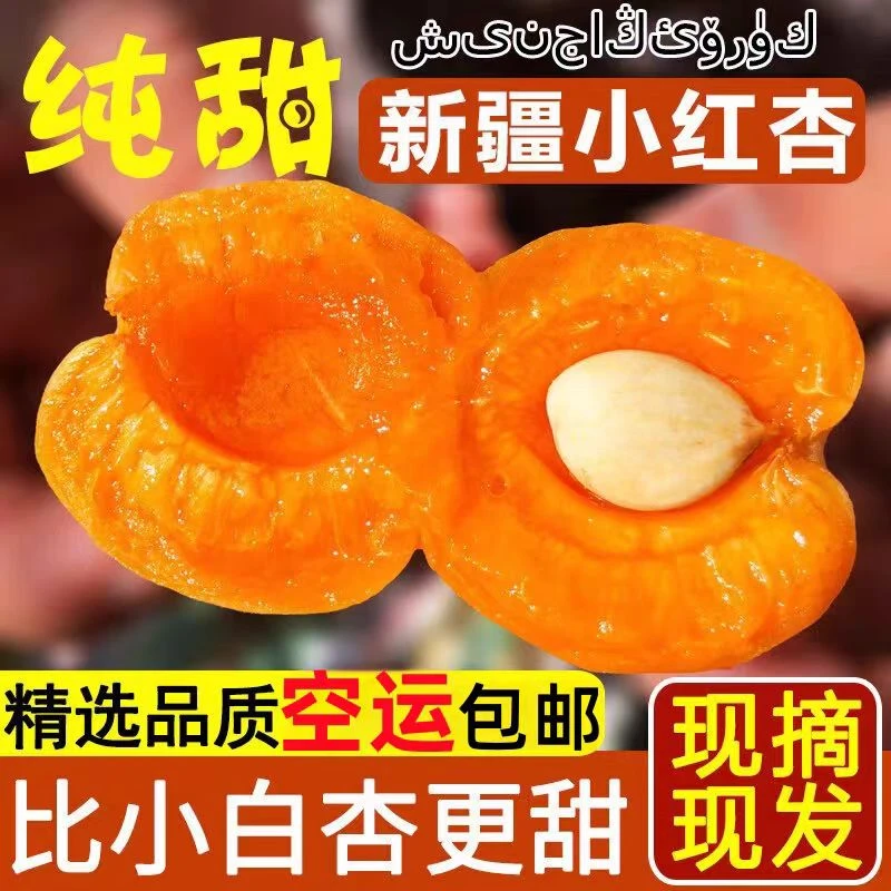 【顺丰京东冷链直达】正宗新疆小红杏新鲜现摘应季水果A