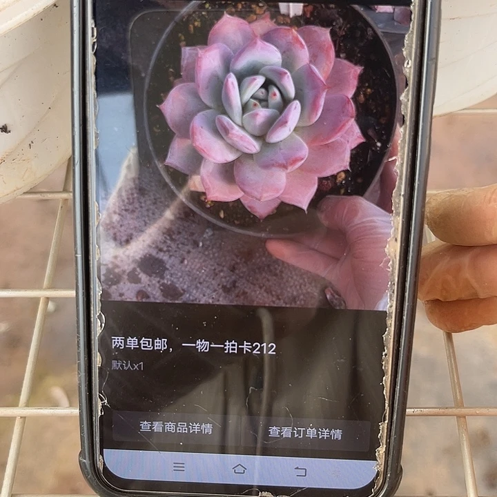 柯***芳两单包邮，一物一拍212卡