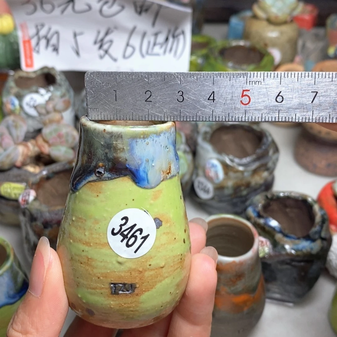 拍5送一个小礼物