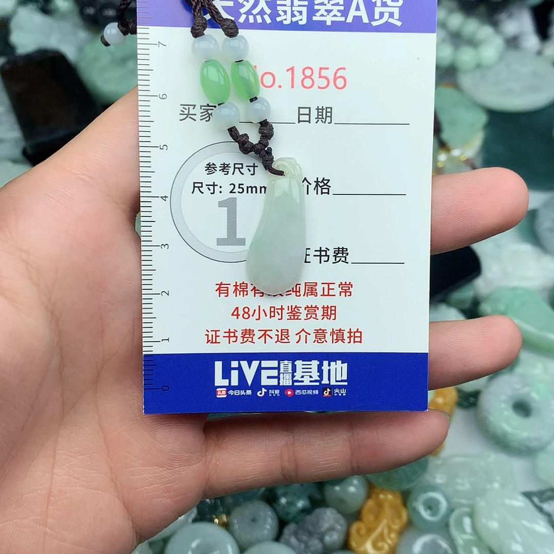 翡翠未镶嵌颈饰1856….