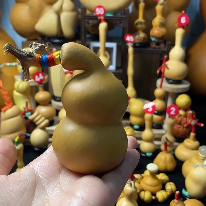 等***待葫芦丝独奏演员演技还是那么