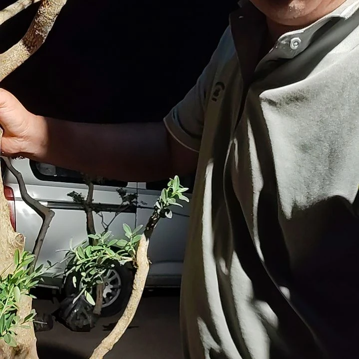 用***3完全开放好的好的，我知道了