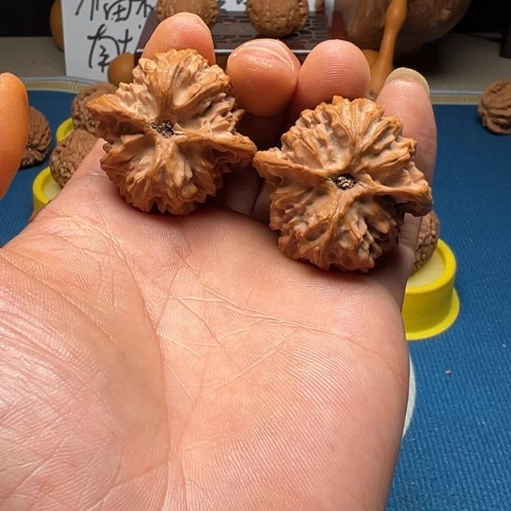 核桃苹果园全品无修40尺