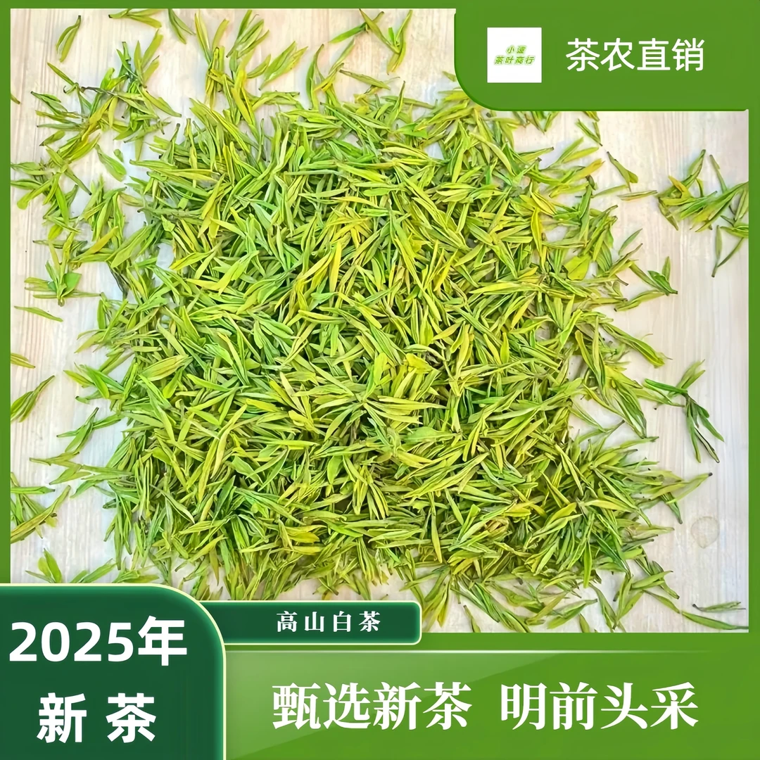 【高山白茶】2025年新茶头采白茶一芽一叶绿茶茶叶