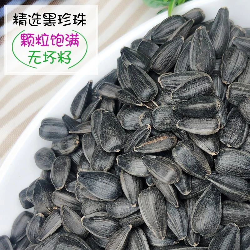 2025年生瓜子葵花籽油葵籽黑珍珠内蒙古赤峰迷你小新鲜瓜子