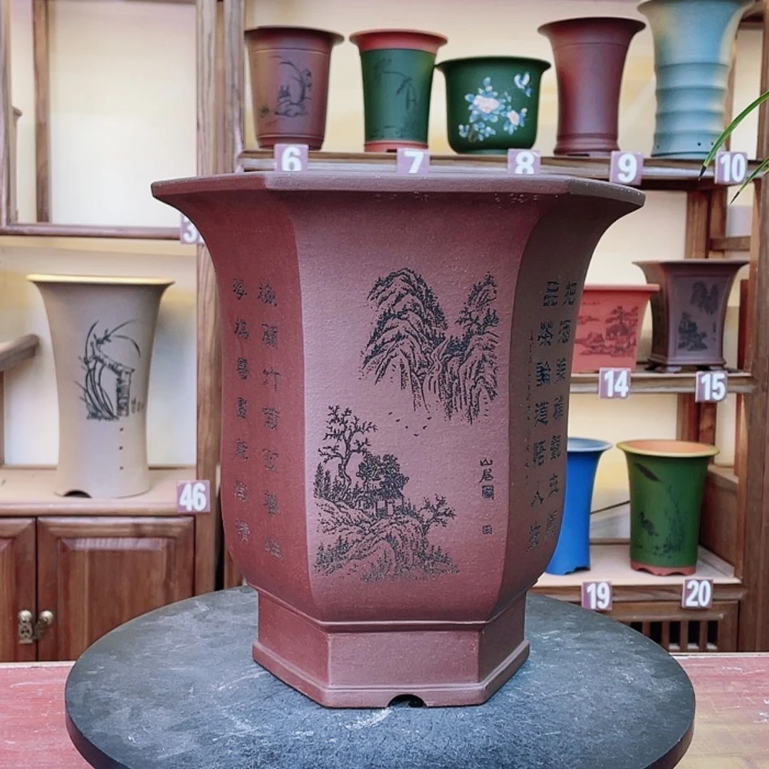 【闪购商品】紫砂花盆兰花45555855255888899