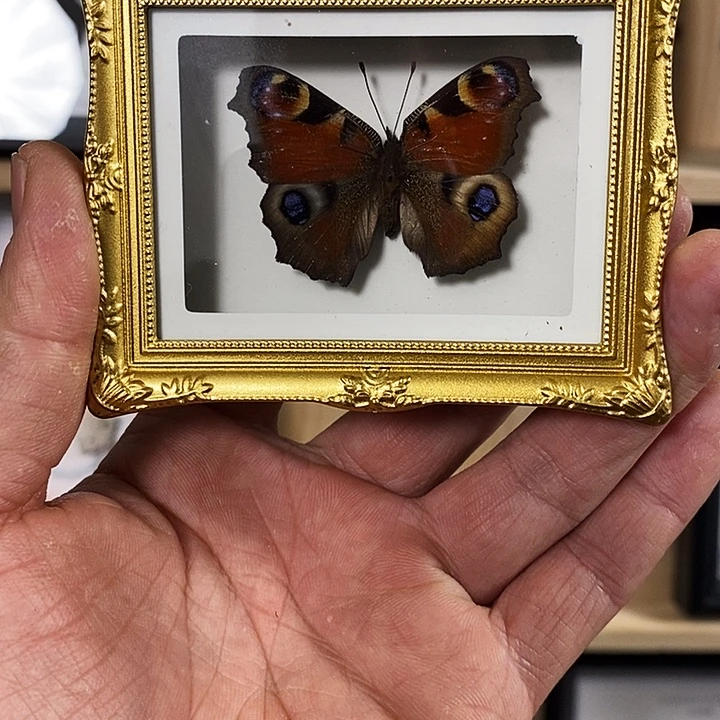 大理石磁石孔雀蛱蝶冰箱贴