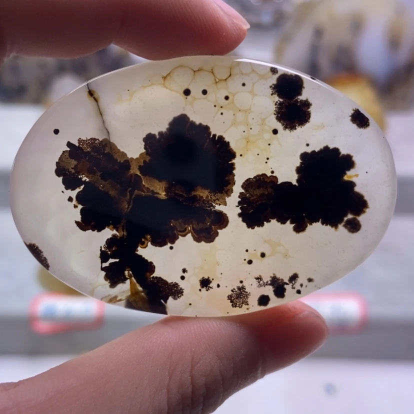 【闪购商品】未镶嵌玛瑙/玉髓珠宝奇石