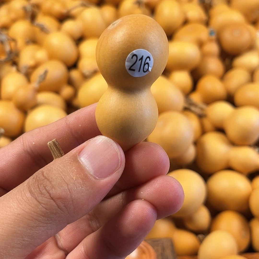 五葫芦葫芦葫芦葫芦216