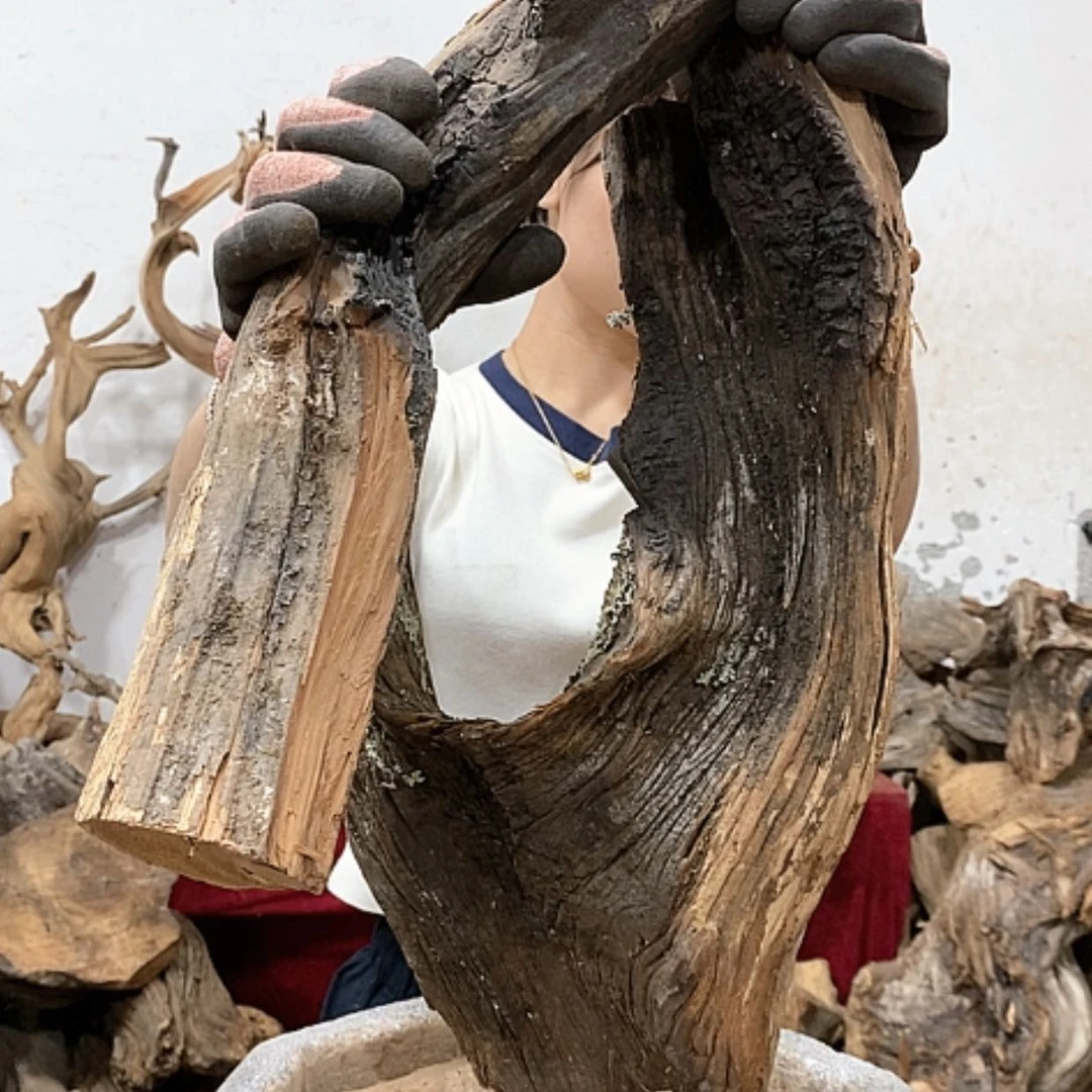 【闪购商品】柏木用****2我们都是好孩子