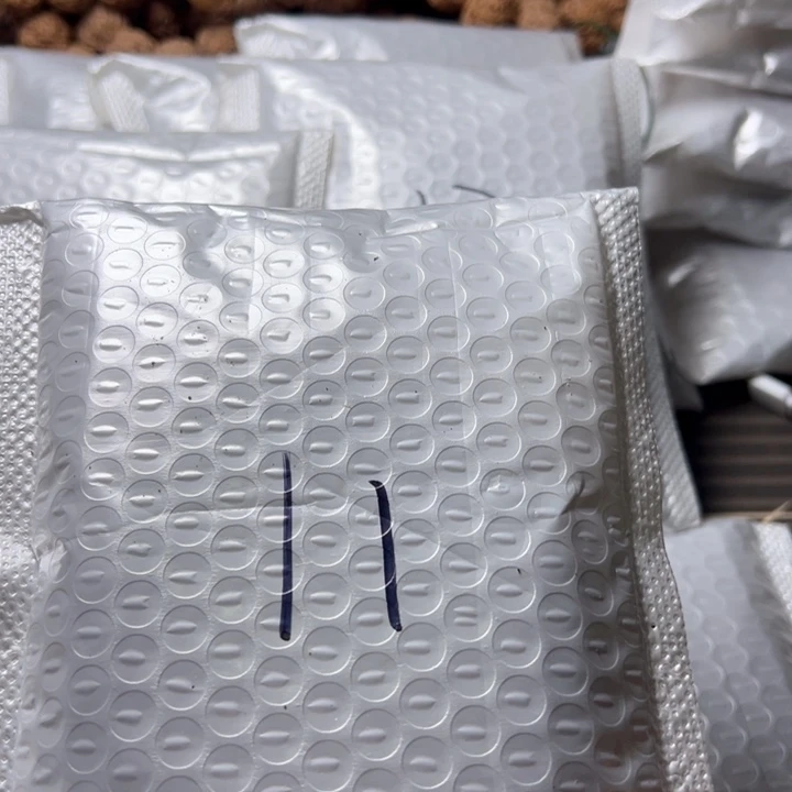 金刚菩提吊坠11号金刚