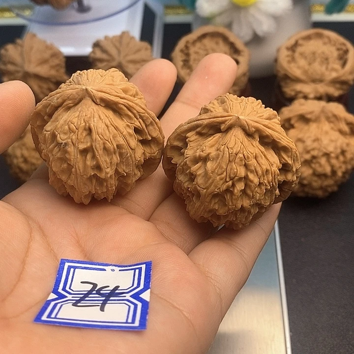 灵***士把件文玩核桃40白狮子