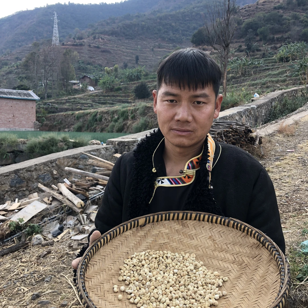（阿布专属）高原无硫藏贝母50克起拍